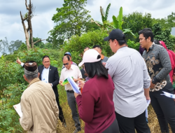 Kuasa Hukum Sarah Sagala Soroti Kejanggalan Dokumen dan Kesaksian dalam Sengketa Tanah di PN Sidikalang
